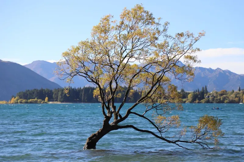 Wanaka