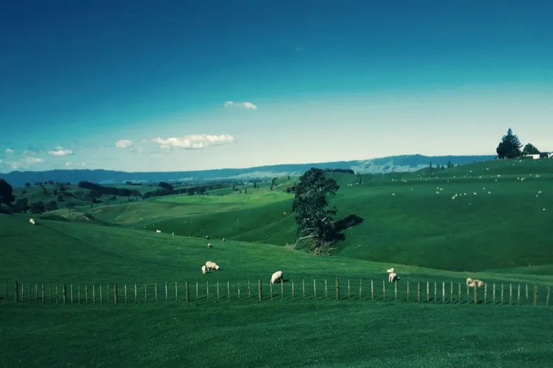 Rural & Land Law
